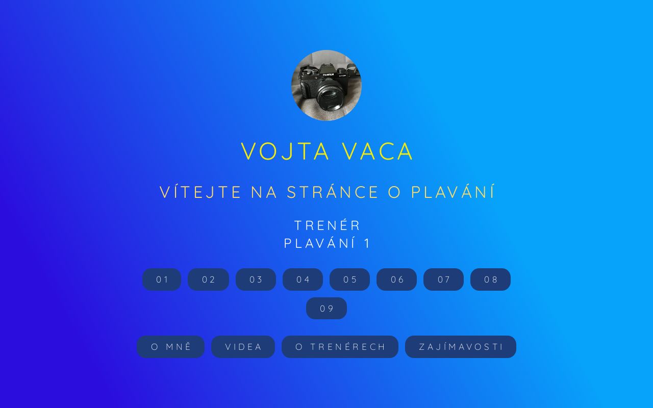 Carrd profile picture for @vojta